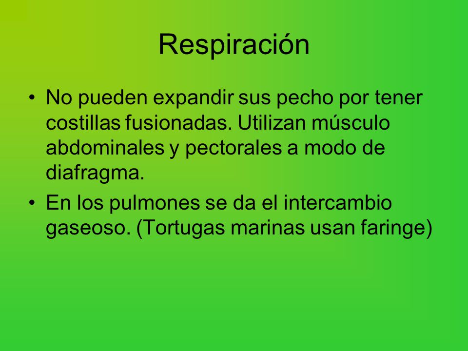 El pecho después de los plásticos del problema